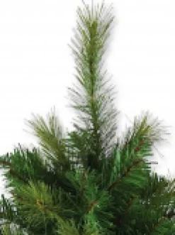 Online Christmas Warehouse Balsam Pine Table Top Christmas Tree With 104 Tips - 65Cm