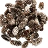 Store Christmas Warehouse Decorative Gold & Champagne Glittered Natural Christmas Pine Cones - 100G