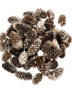 Store Christmas Warehouse Decorative Gold & Champagne Glittered Natural Christmas Pine Cones - 100G