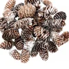 Best Christmas Warehouse Decorative White Frosted Natural Christmas Long Pine Cones - 100G