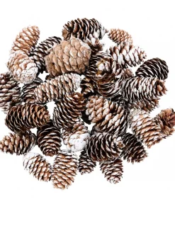 Best Christmas Warehouse Decorative White Frosted Natural Christmas Long Pine Cones - 100G