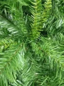 Sale Christmas Warehouse Eastern Pine Traditional Christmas Tree With 4605 Tips - 3.6M