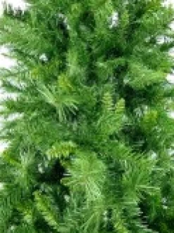 Flash Sale Christmas Warehouse Eastern Pine Traditional Christmas Tree With 2711 Tips - 3M
