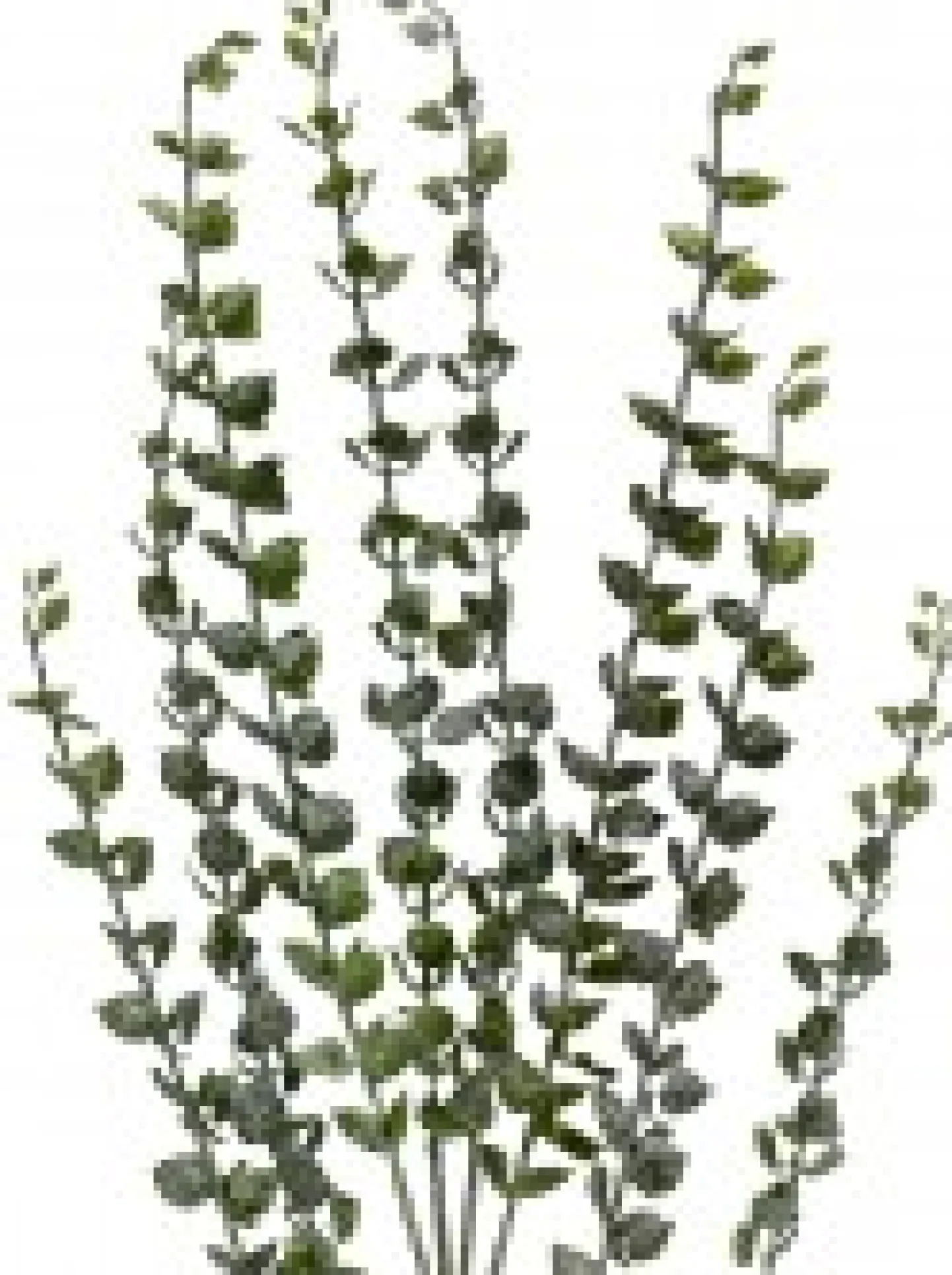 Hot Christmas Warehouse Green Baby Blue Eucalyptus Leaves Decorative Christmas Spray Stem - 80Cm