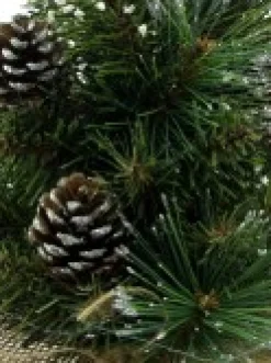 Clearance Christmas Warehouse Morning Frost With Pine Cones Table Top Christmas Tree With 37 Tips - 30Cm