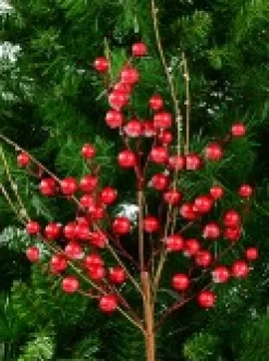 Best Christmas Warehouse Red Berry & Branches With Frost Look Decorative Christmas Spray Stem - 68Cm