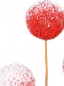 Online Christmas Warehouse Red With White Frost Pom Pom Snowballs Christmas Spray Pick - 24Cm