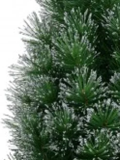 Shop Christmas Warehouse Silver Glittered Needle Tip Pine Tabletop Christmas Tree With 96 Tips - 90Cm