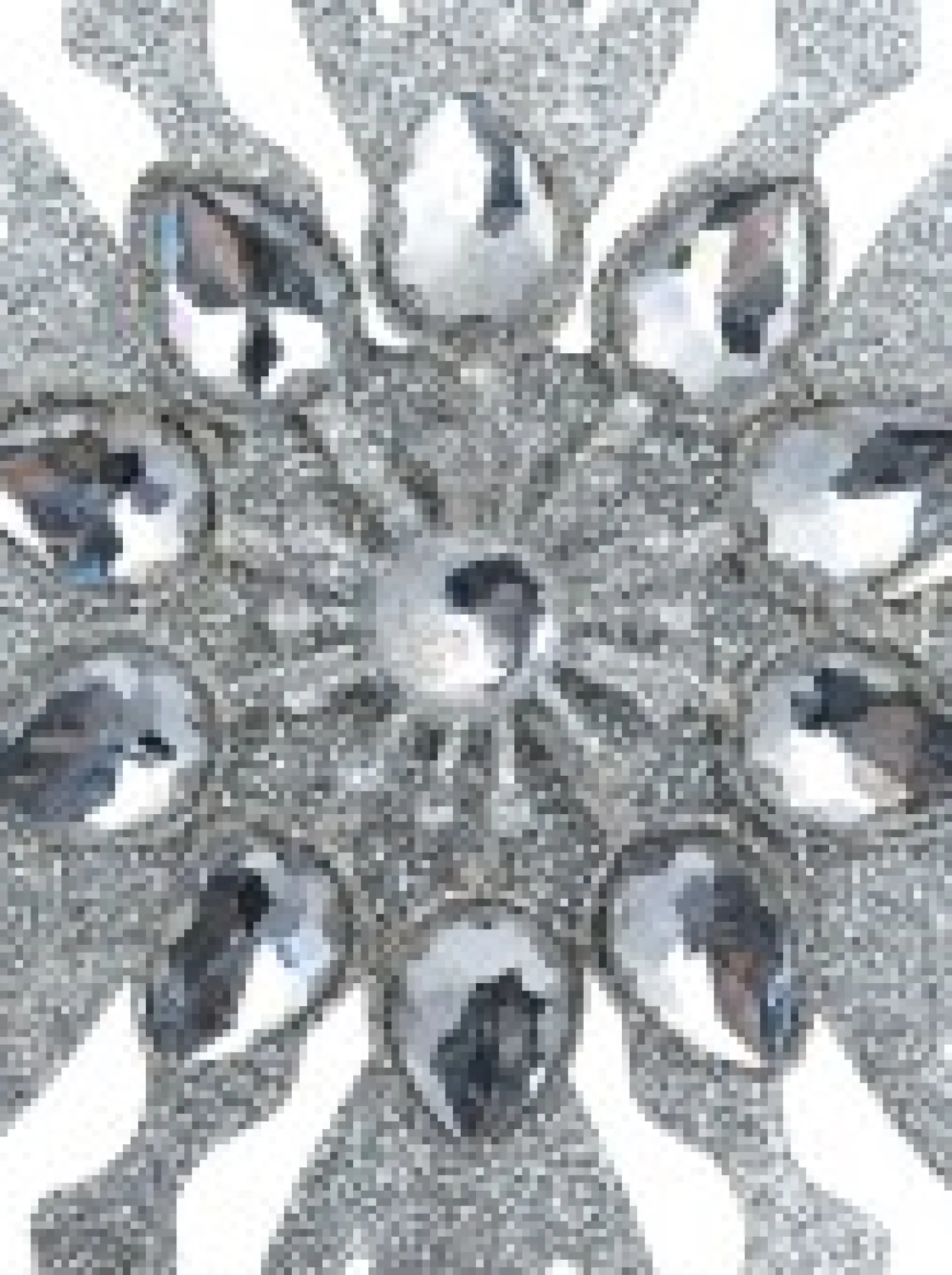 Online Christmas Warehouse Silver Snowflake With Acrylic Jewels Christmas Tree Hanging Decoration - 13Cm