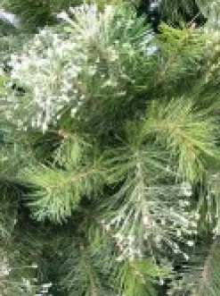 Flash Sale Christmas Warehouse Stratford Mixed Pine Traditional Christmas Tree With 1129 Tips - 1.8M
