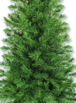 Store Christmas Warehouse Valley Pine Traditional Christmas Tree With 154 Tips - 1.2M