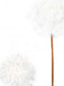 Shop Christmas Warehouse White Pom Pom Snowballs Decorative Christmas Spray Pick - 15Cm
