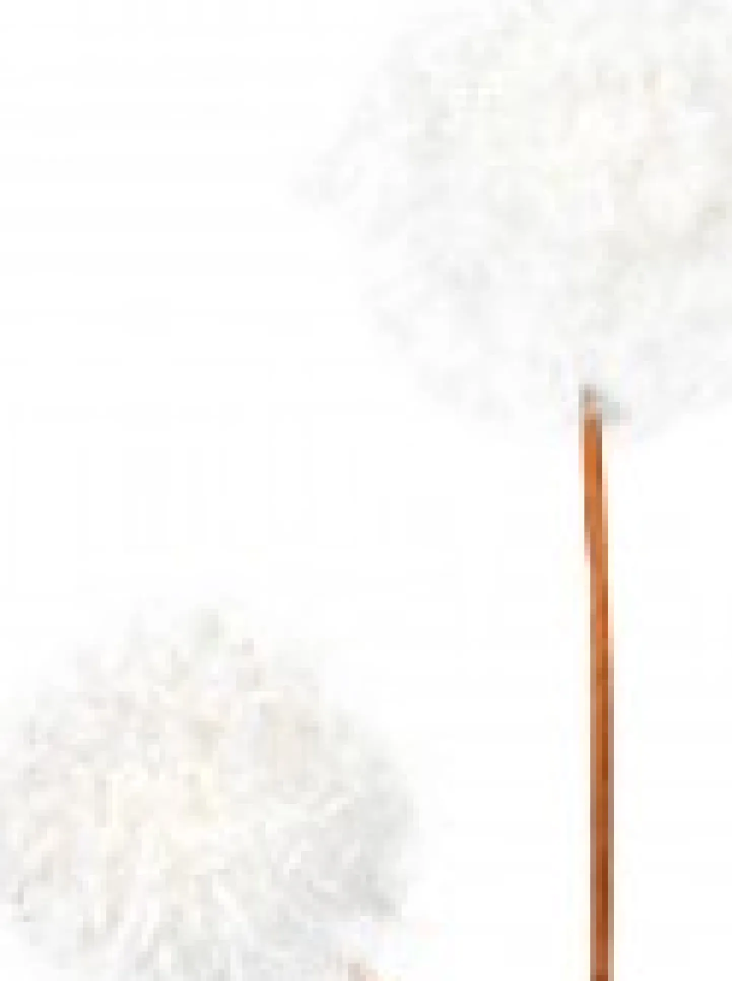 Shop Christmas Warehouse White Pom Pom Snowballs Decorative Christmas Spray Pick - 15Cm